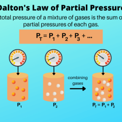 Dalton worksheet