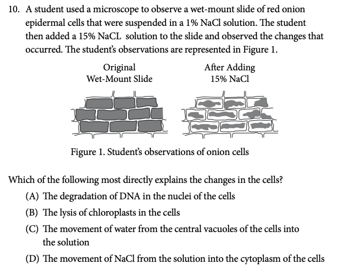 Ap csp 2020 practice exam 1 mcq