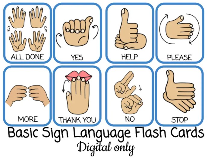 Asl sign language flash cards