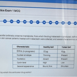 Ap csp 2020 practice exam 1 mcq