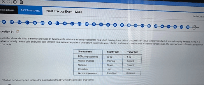 Ap csp 2020 practice exam 1 mcq